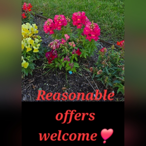 DAZE Straight Up Cargo High Rise Straight Leg Ankle - Picture 10 of 10